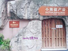 -成都大熊猫繁育研究基地