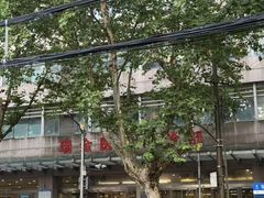 -上海交通大学医学院附属瑞金医院(总院)