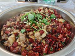 -食神又名厕所兔