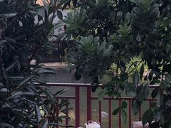 -抚仙湖万达文华酒店