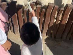 -太原动物园
