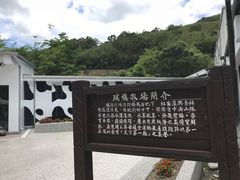-瑞穗牧场