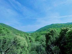 -老山国家森林公园