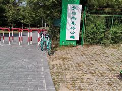 -长白岛森林公园