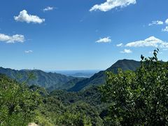 -大岭沟猕猴桃谷风景区