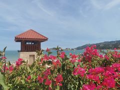 -青澳湾北回归线广场