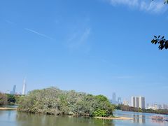 -海珠湖公园