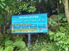 -广州市帽峰山景区