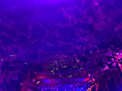 -周庄红庭演艺酒吧