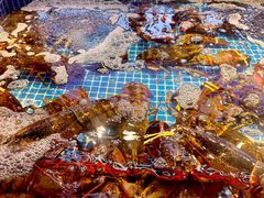 -驻海渔市(置信店)