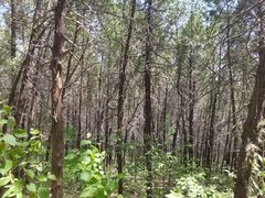 -青州市云门山风景区