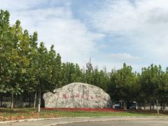 -上海海湾国家森林公园