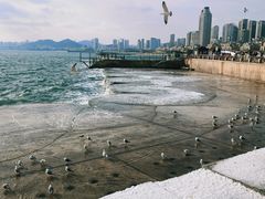 -星海广场