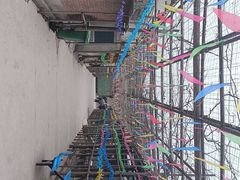 -亲兄弟真人CS团建拓展基地