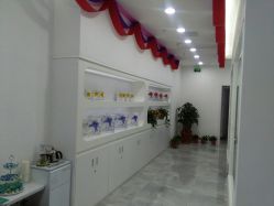 -莱可美科技美肤