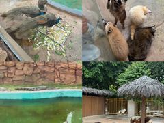 -福州罗源湾海洋世界旅游区