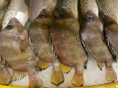 -合家小菜餐馆(新诚花苑店)