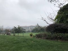 -重庆长寿碧桂园凤悦凤凰酒店