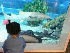 -绍兴梦享海洋公园