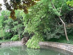 -嘉定紫藤园