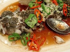 -利苑酒家(金宝店)