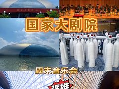 -国家大剧院