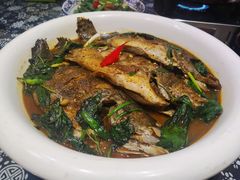 红焖野生桂鱼-绿色菜园·农家土菜(贤山店)