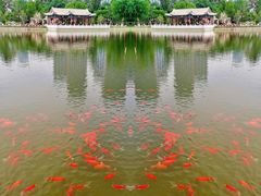 -西海子公园