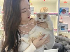 -lincat·猫舍(广州店)