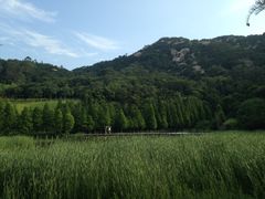 -厦门国家会计学院