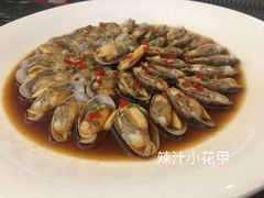 -京粤荟(海王银河科技大厦店)