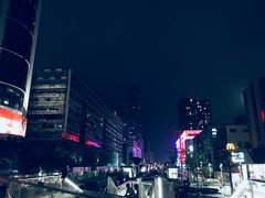 -Mevlana梅夫娜土耳其餐厅·清真