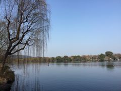 -西湖国宾馆·紫薇厅