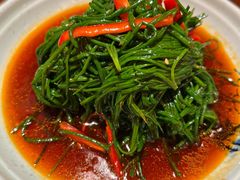 -左陕右甘(亚运村店)