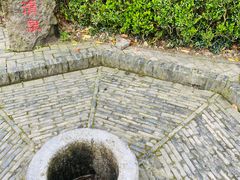 -上海佘山国家森林公园天马山园