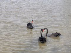 -漩门湾国家湿地公园