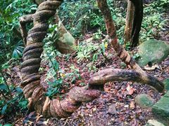 -七仙岭温泉国家森林公园