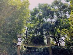 -旅马餐厅(茅家埠店)