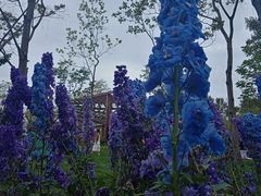 -上海吴淞炮台湾国家湿地公园