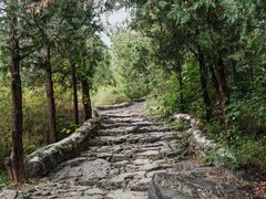 -阳台山自然风景区