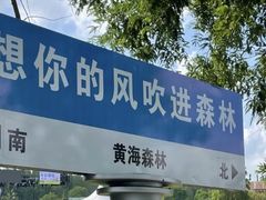 -黄海国家森林公园