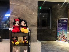 -麦新格精品酒店(上海浦东机场川沙迪士尼店)