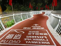 -金鸡山公园