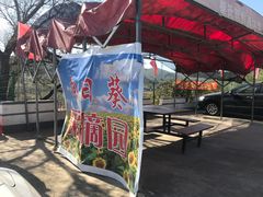 -高家大院烤全羊