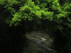 -燕晗山郊野公园