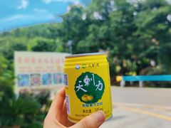 -哒啦仙谷旅游景区
