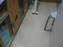 -瑞派雷欧宠物医院·24h夜诊·心脏骨科牙科·全科重症转诊中心(无影山店)