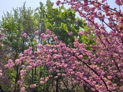 -江南大学(蠡湖校区)
