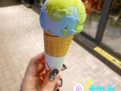 燕麦地球-Dal Cuore 达可芮冰淇淋(陕西北路店)