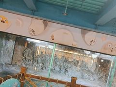 -海合安青岛极地海洋公园